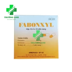 Fabonxyl Armephaco - Thuốc trị chóng mặt, suy giảm trí nhớ hiệu quả